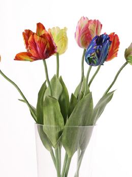 Kleurenmix tulp 131599*